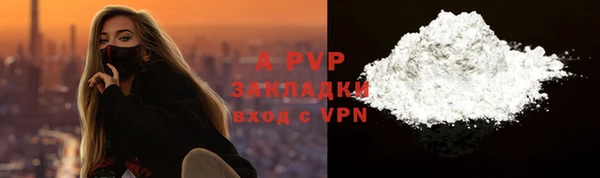 индика Белоозёрский